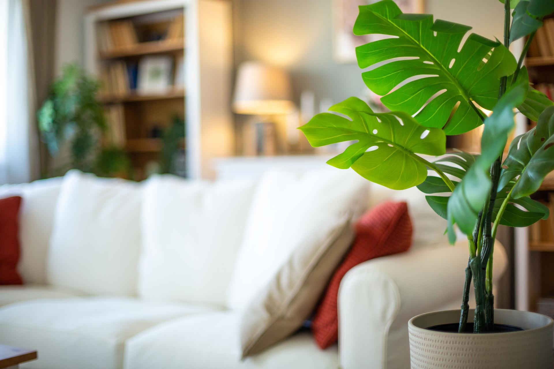 Is it good to have artificial plants in the house?
